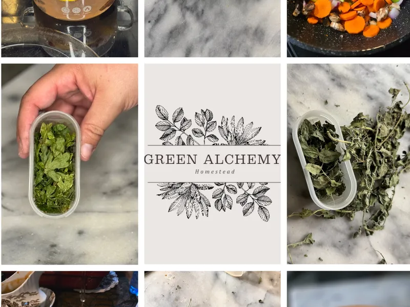 Post image for Green Alchemy Homestead